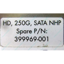 HP 250G 7.2k 432337-001/ 399699-001 / 397377-004 SATA HDD (Дзержинский)