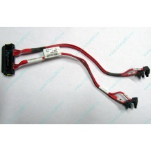 SATA-кабель для корзины HDD HP 451782-001 459190-001 для HP ML310 G5 (Дзержинский)