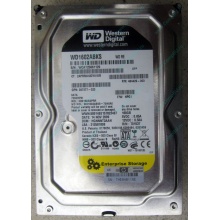 Жесткий диск 160Gb WD WD1602ABKS SATA (Дзержинский)