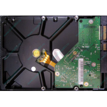 Б/У жёсткий диск 1Tb Western Digital WD10EVVS Green (WD AV-GP 1000 GB) 5400 rpm SATA (Дзержинский)