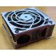 HP 224977 (224978-001) for Proliant ML370 G2/G3/G4 (Дзержинский).