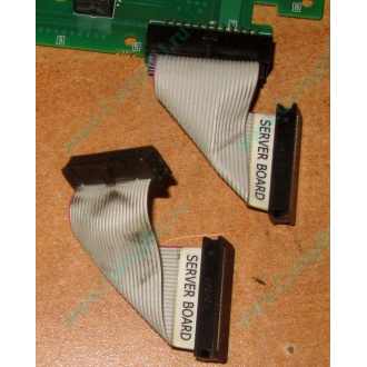 6017B0045701 Шлейф 24 pin для Intel C74974-401 T0043401-B01 корпуса SR2400 (Дзержинский)