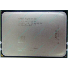 Процессор AMD Opteron 6128 (8x2.0GHz) OS6128WKT8EGO s.G34 (Дзержинский)