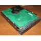 Жесткий диск 300Gb 15k Seagate Cheetach ST3300656SS 15K.6 Dell 9CH066-050 6G SAS (Дзержинский)